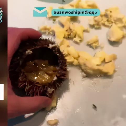 少年中国·环保课堂 第19页
