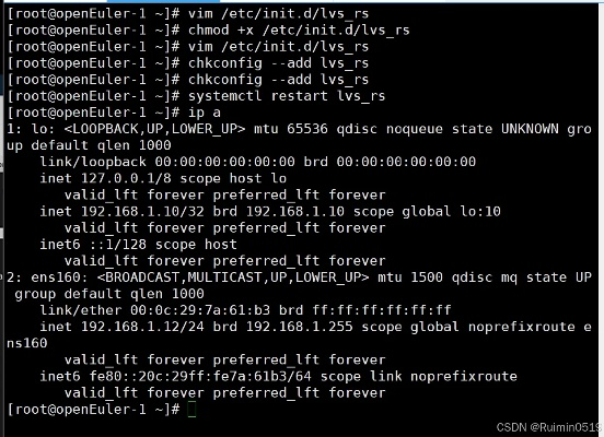 arp防火墙官方下载与新倩女幽魂激活码，高效性实施计划解析——专属款替代软件推荐